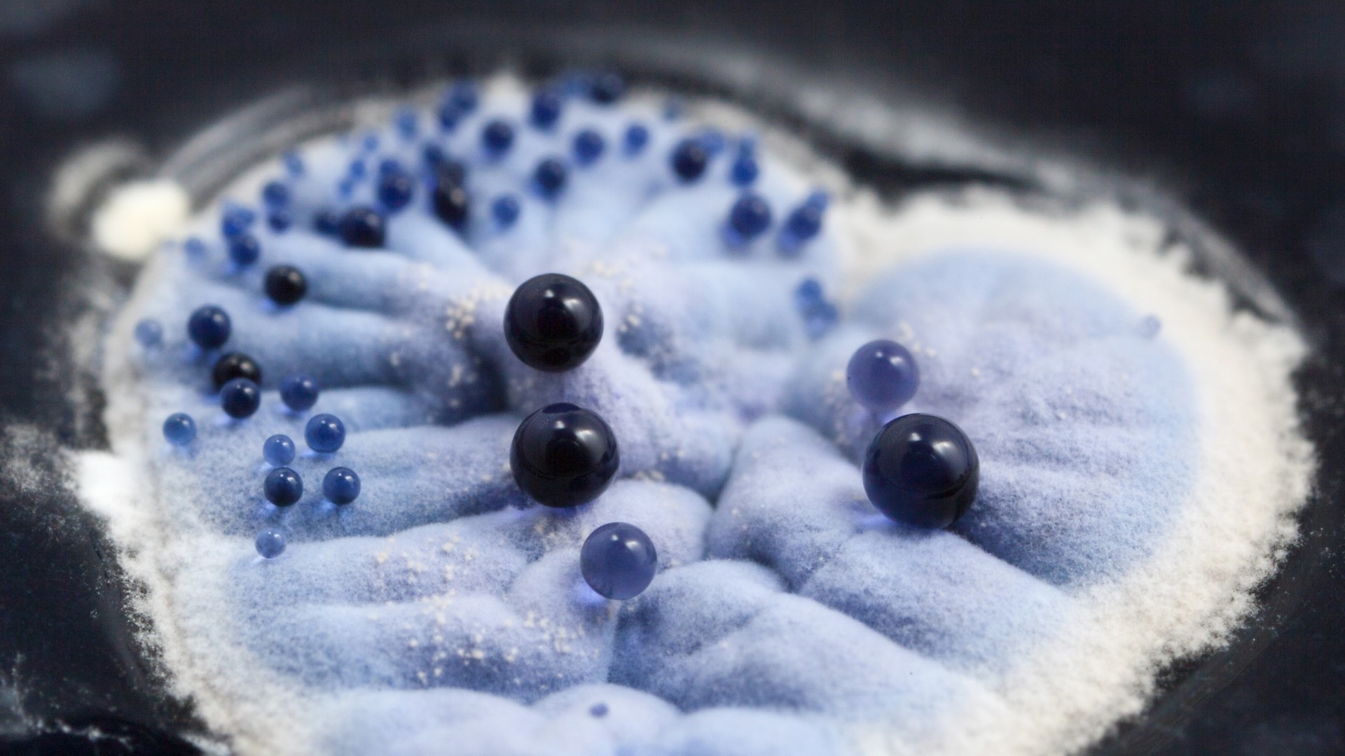 帮助机器人研发新抗生素