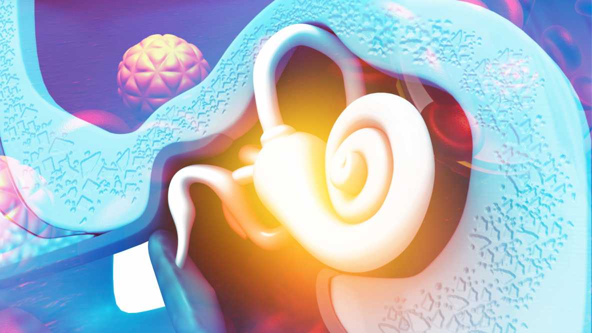 打开人类内耳之门：新疗法改善听力损失和失聪