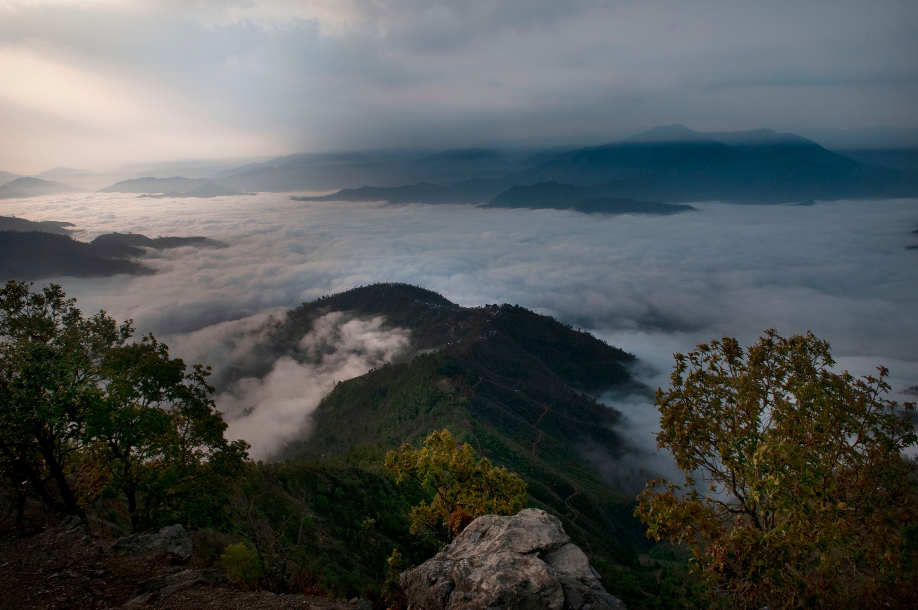 社区森林管理研究表明，既可以减少森林砍伐，也可以减轻贫困。