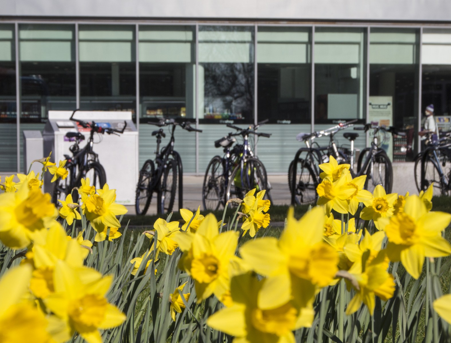 曼彻斯特在CUBO获多项大奖