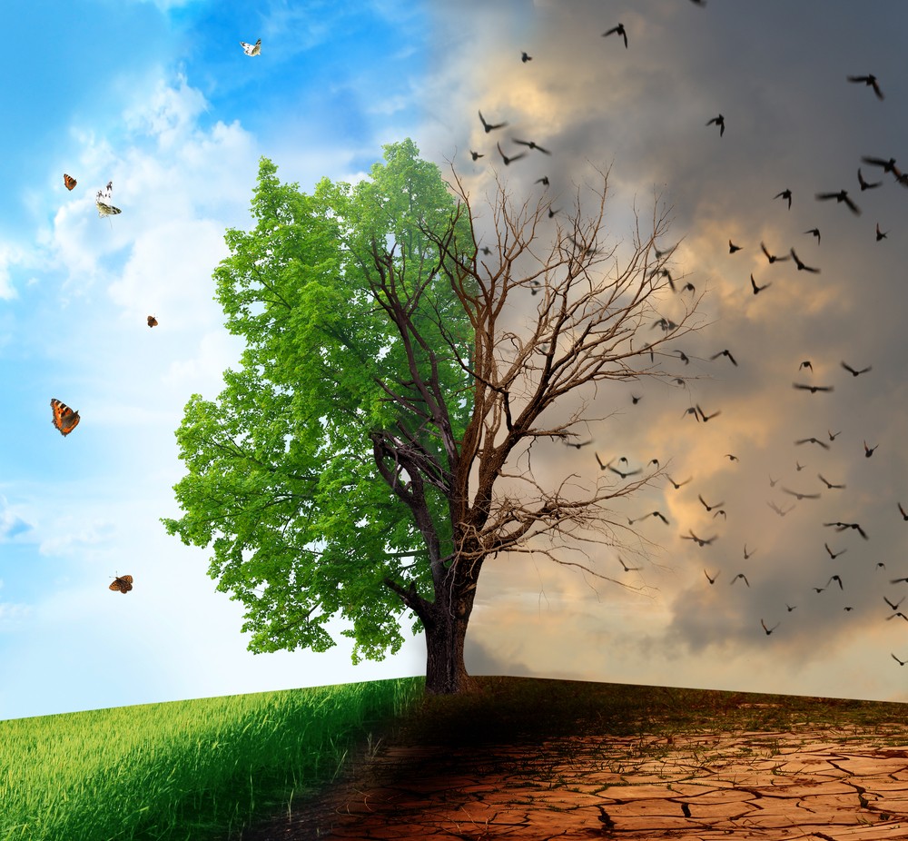 曼彻斯特大学加入全球媒体合作共同应对气候危机 曼彻斯特大学加入全球媒体合作共同应对气候危机