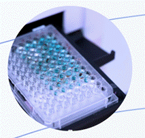 DMPK Insights for Biologic Therapeutics