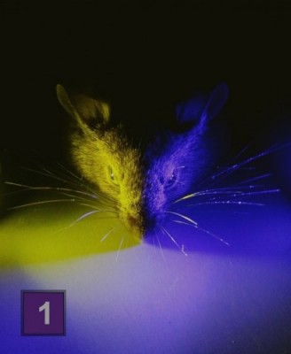 2019年生物、医学和健康学院的重要新闻