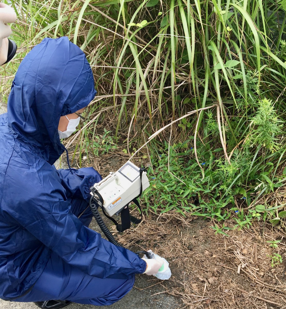 新研究显示福岛第一核电站放射性颗粒释放量显著增加