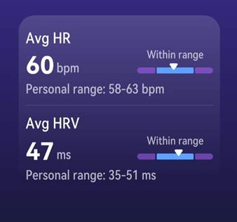 sleep-monitor