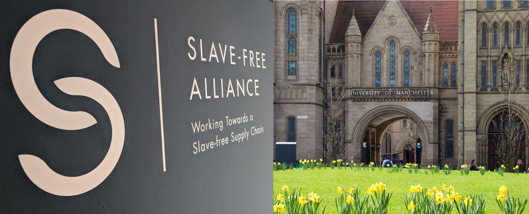 曼彻斯特大学加入无奴隶联盟