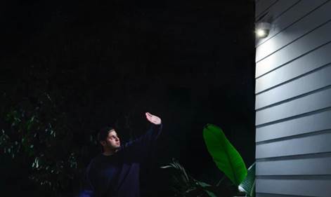 night-guard