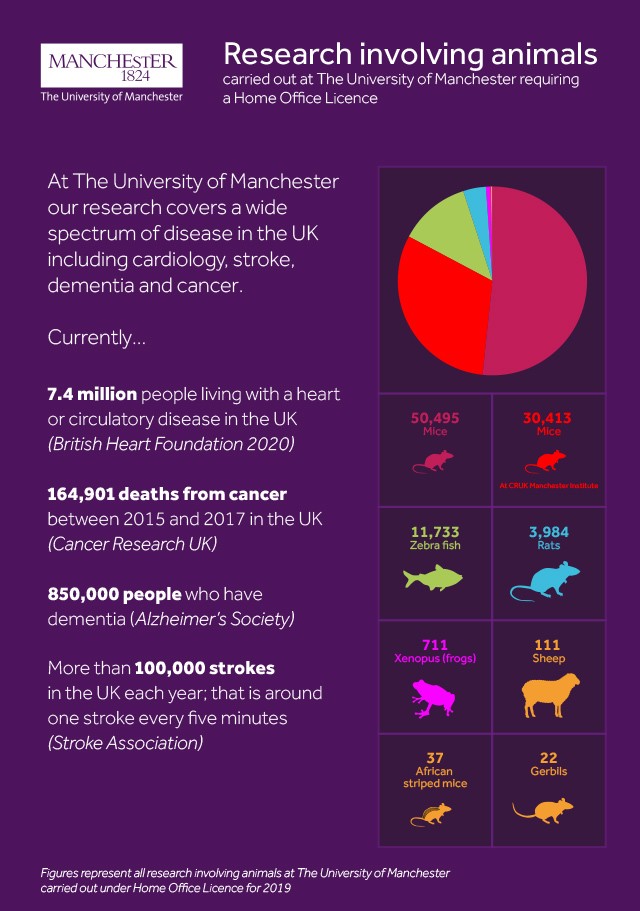 动物研究十大机构揭晓