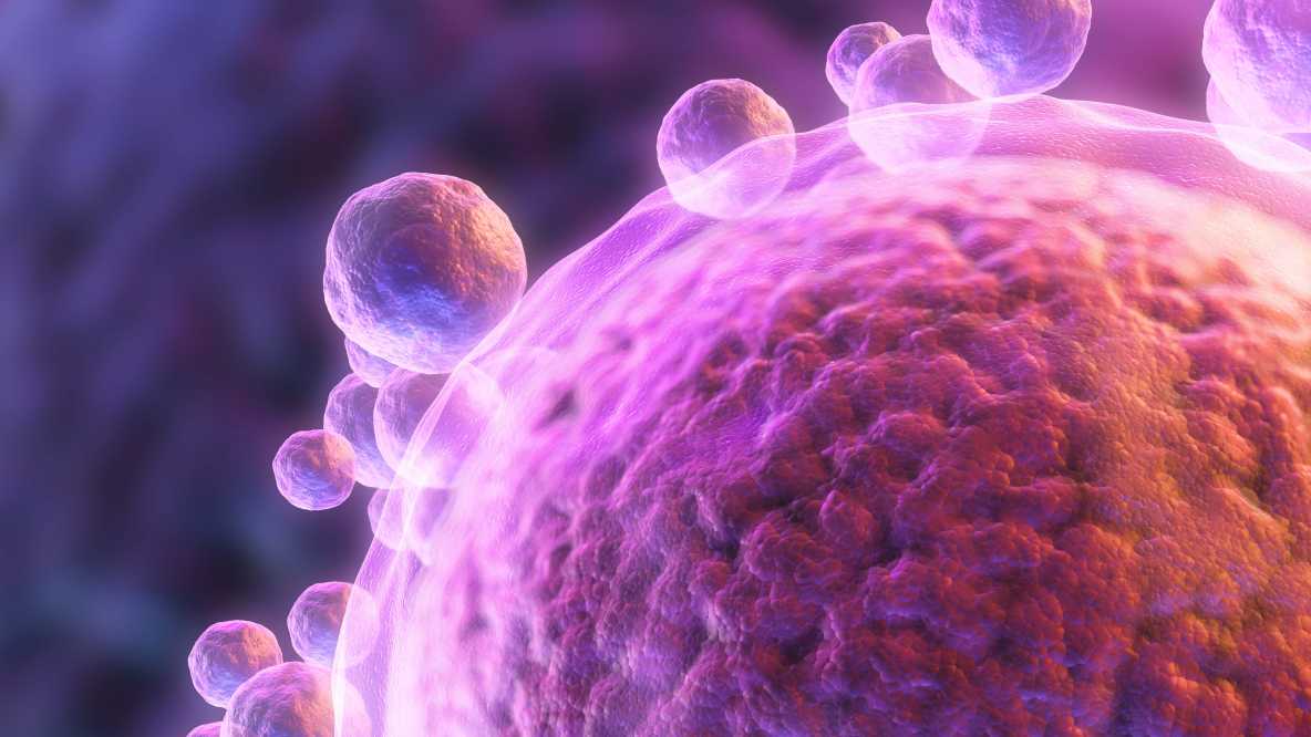 科学家发现新的蛋白质，有助于精子与卵子融合，可提高生育治疗效果