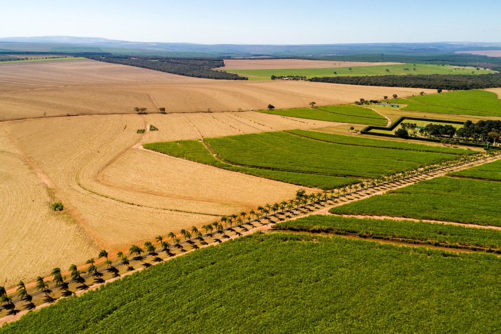 生物技术突破，将废弃生物质转化为高价值化学品