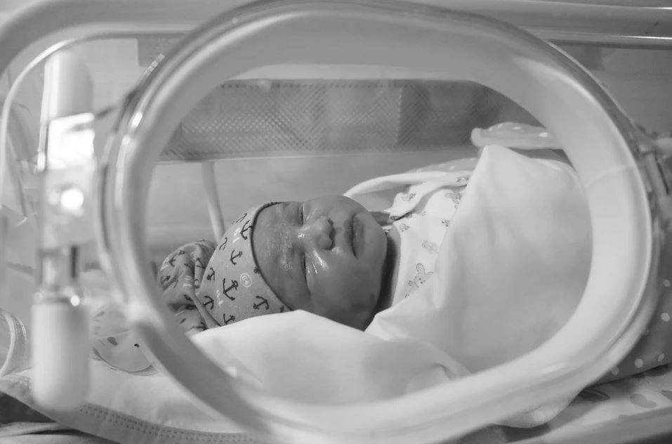 人工子宫技术研究呼吁修改怀孕法律