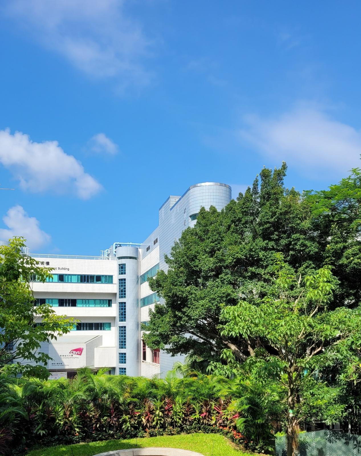 香港城市大学