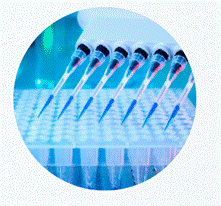 Pharmacokinetics Services: A Comprehensive Overview