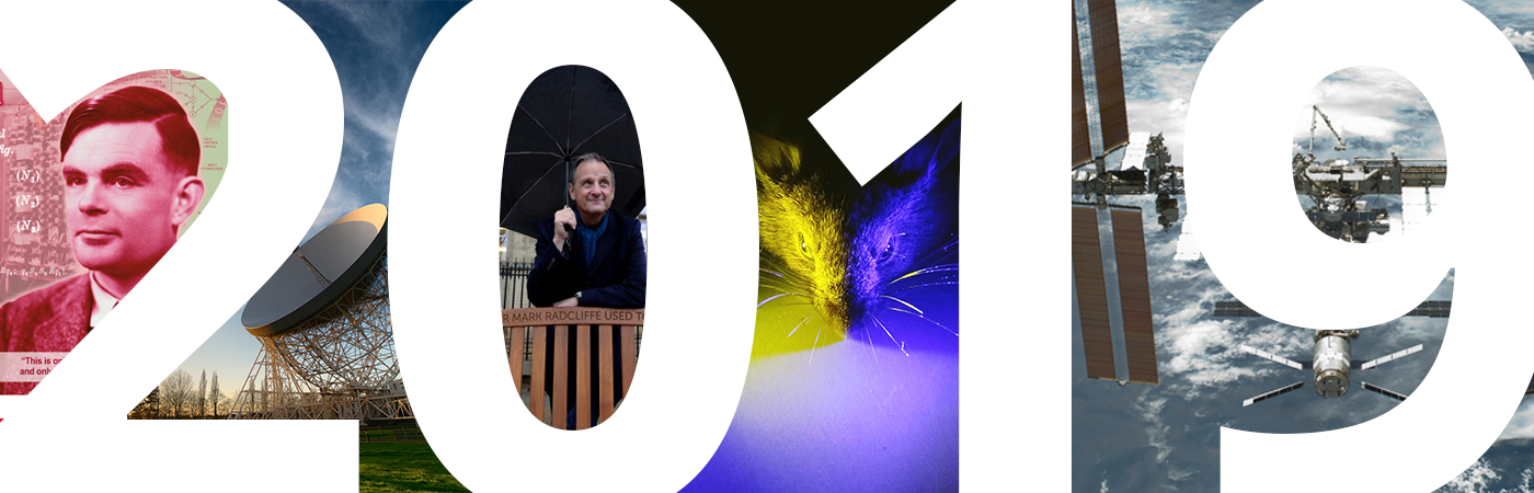 2019年你的十大故事