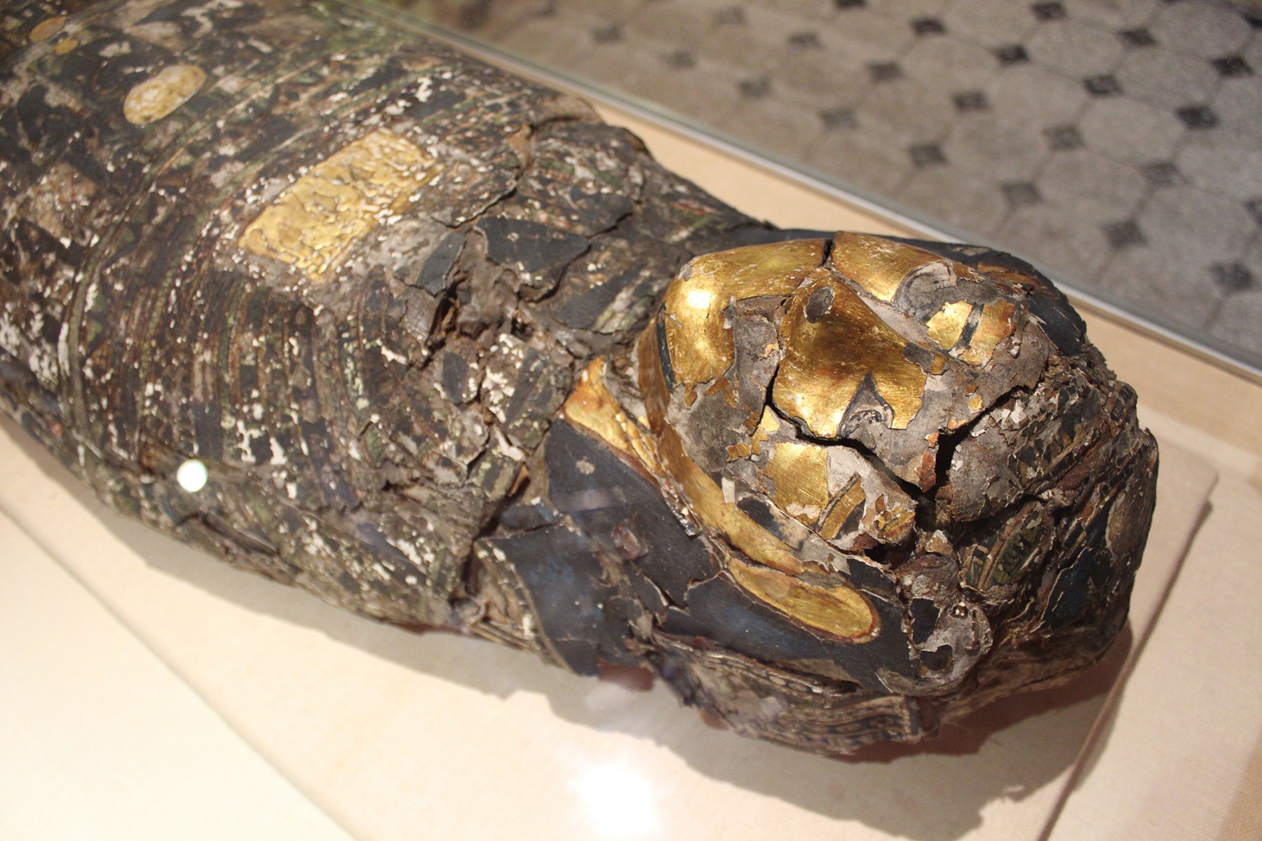 古埃及木乃伊前往曼彻斯特接受健康检查