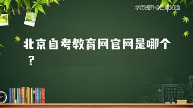 北京教育考试院(北京考试网官网入口登录网址：https://www.bjeea.cn/)