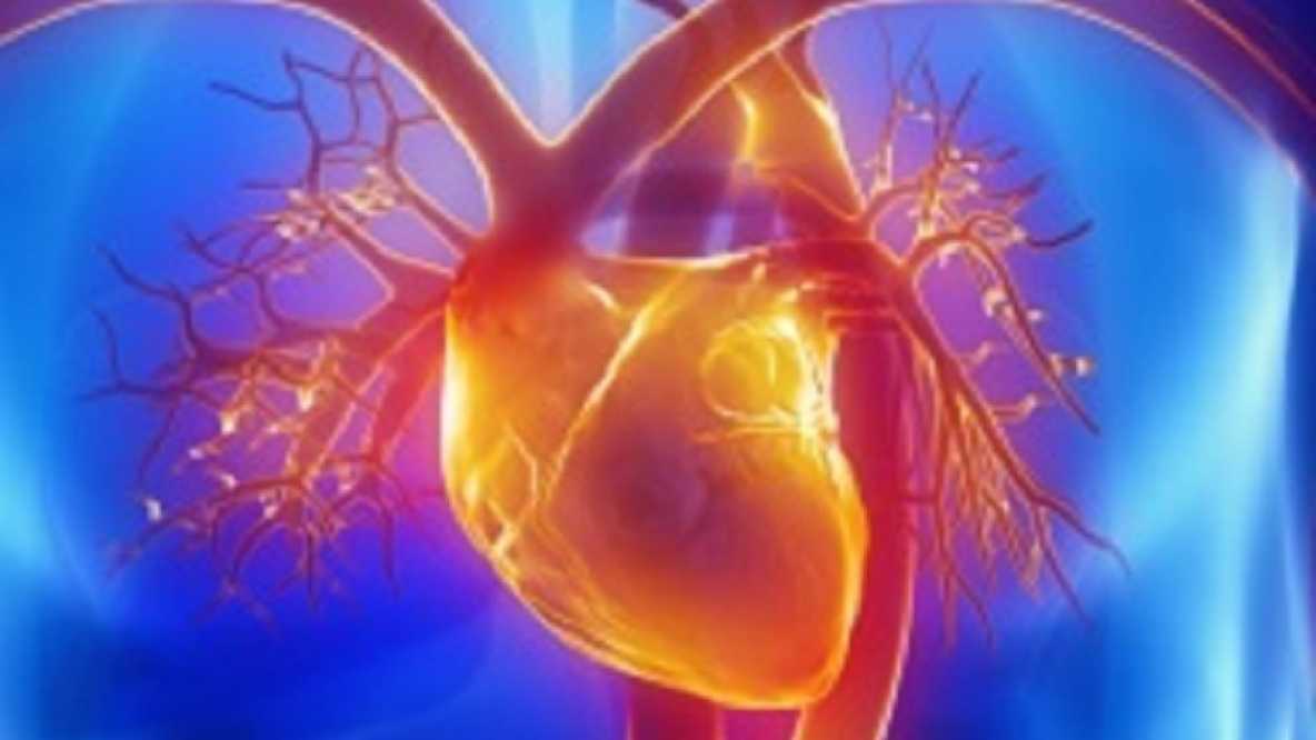 应该给高风险患者开抗生素，以帮助预防致命的心脏感染