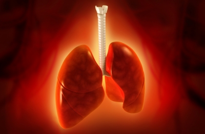 COPD超重患者可能更容易受COVID-19影响 COPD超重患者可能更容易受COVID-19影响