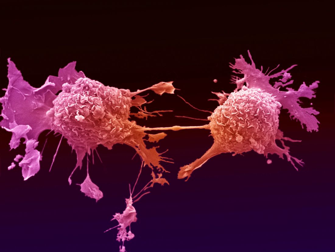 癌症基因组研究取得新突破