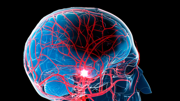 视网膜免疫细胞可能是预防糖尿病引起视力损失的关键