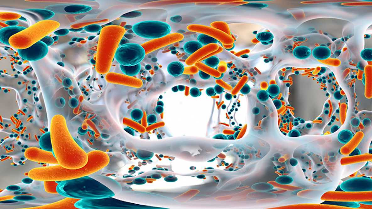 拨款570万英镑应对抗菌素抗性