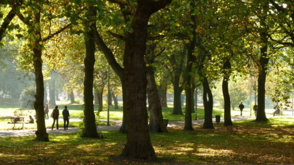 研究发现，户外交流更顺畅：对话如散步般轻松