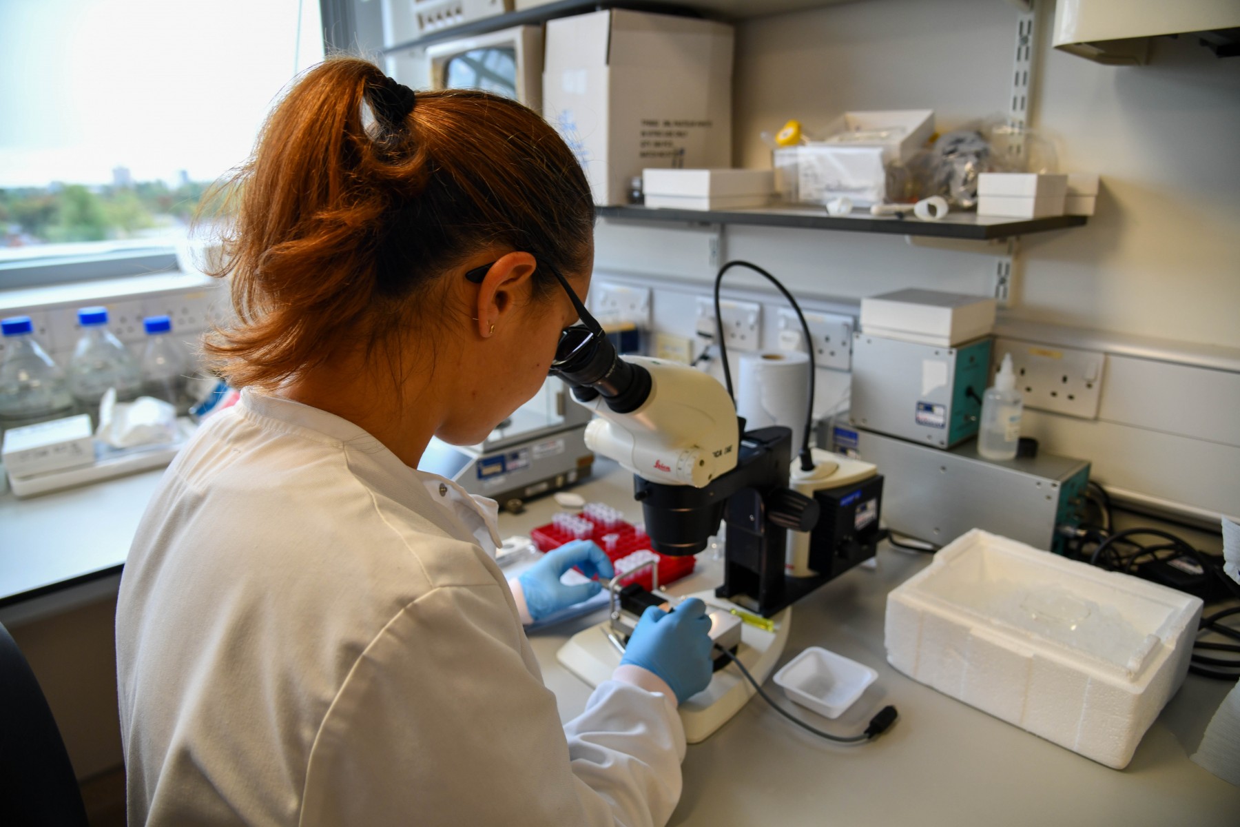 曼彻斯特大学为印度女性STEM专业硕士生提供全额奖学金 曼彻斯特大学为印度女性STEM专业硕士生提供全额奖学金