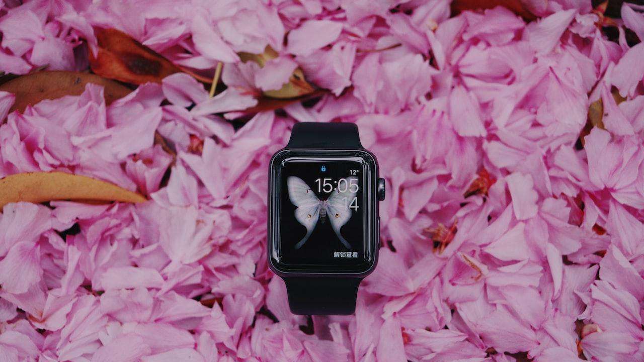 Welche Apple Watch Hut Ekg Und Blutdruck?