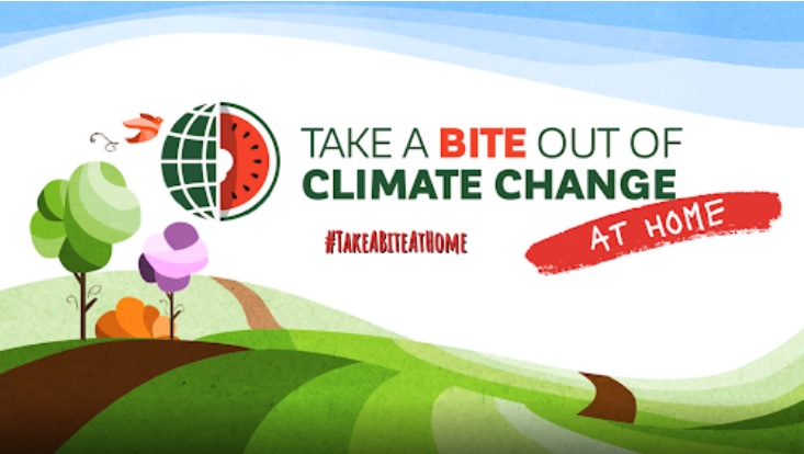 在家自学午餐时间了解的气候事实