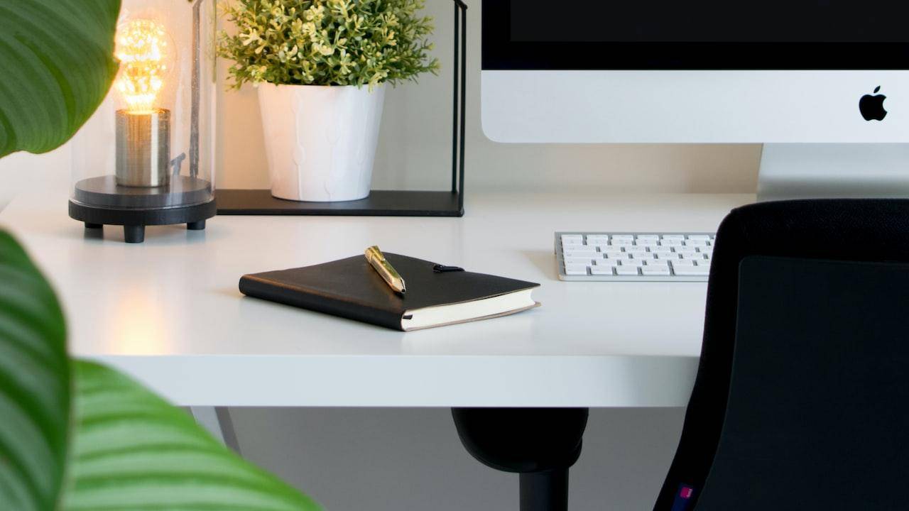 Welches Asus Zenbook Ist Das Beste? 