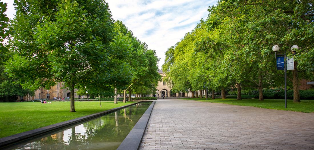 墨尔本大学致力于2030年实现气候积极状况