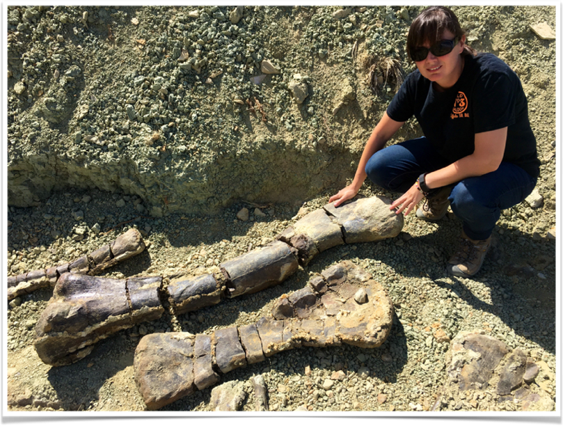 揭秘美国“侏罗纪里程”的秘密