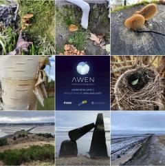 漫游应用解读气候关注