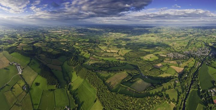农作物地图揭示农村土地利用情况