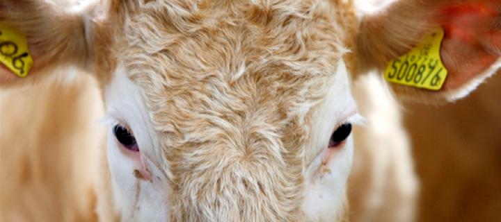 大学支持下的企业获奖