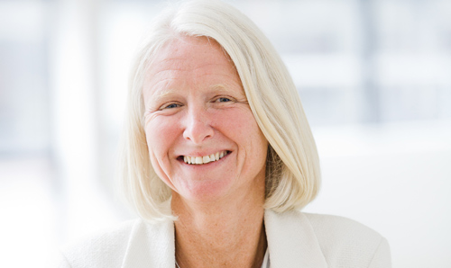 大学人员新年荣誉