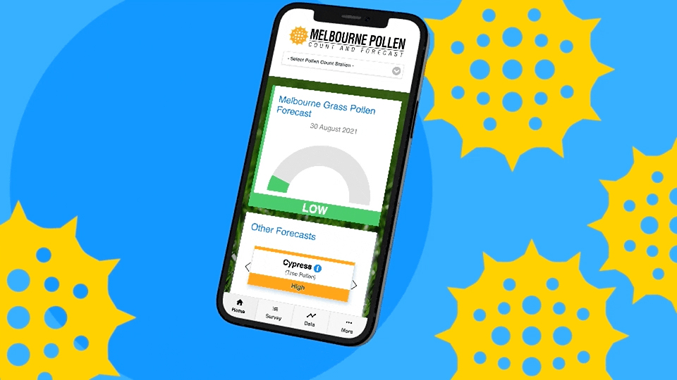花粉过敏者欢呼！墨尔本花粉计数器再次启动，提前开放并增加更多功能