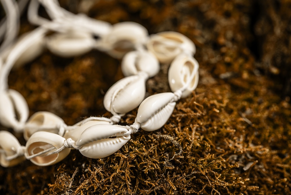 cowrie shell bracelet